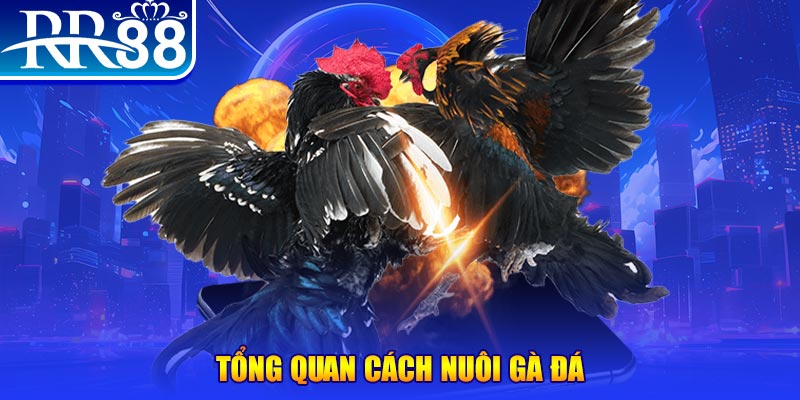 7789bet game nổ hũ rút tiền mặt là gì