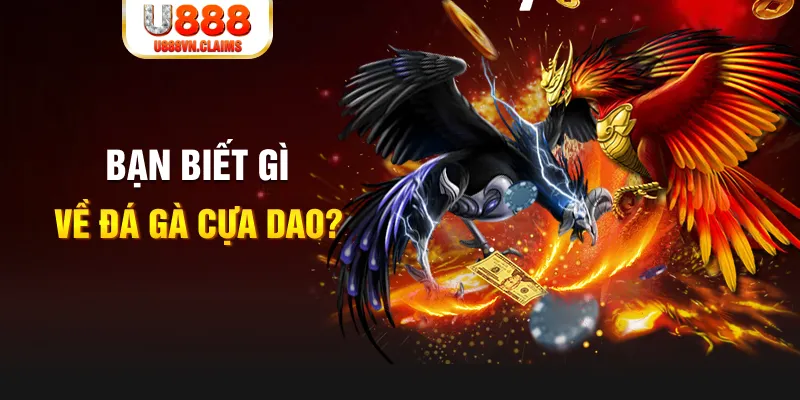 7789bet SW Xổ Số