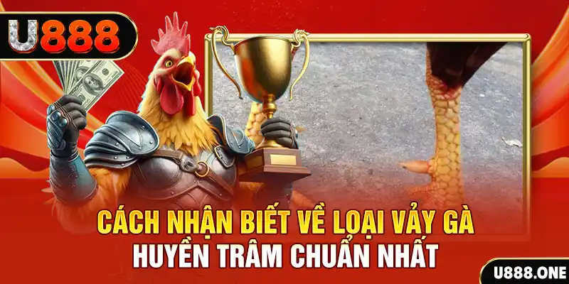 7789bet đăng nhập nổ hũ số 1