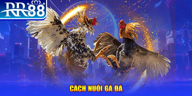 7789bet Ws168 Đá Gà