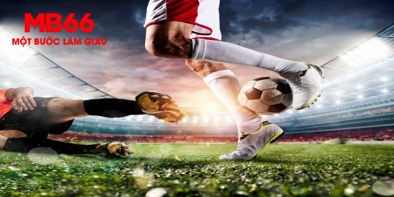 7789bet trực tiếp đá gà thomo