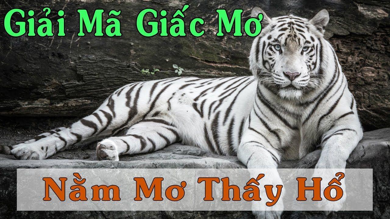7789bet nổ hũ là game gì