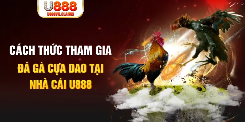 7789bet Cỡ bảy