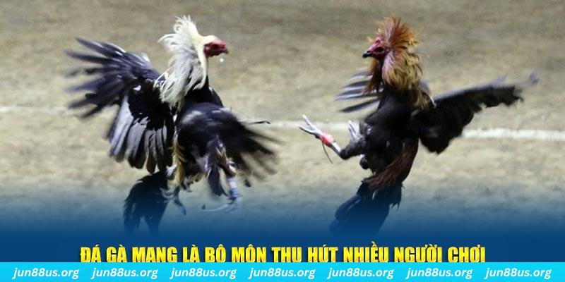 7789bet nổ hủ nghĩa là gì