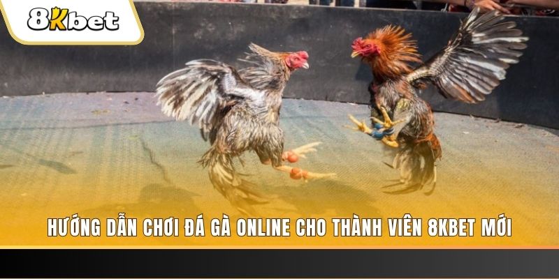 7789bet JILI Game Bài 3d