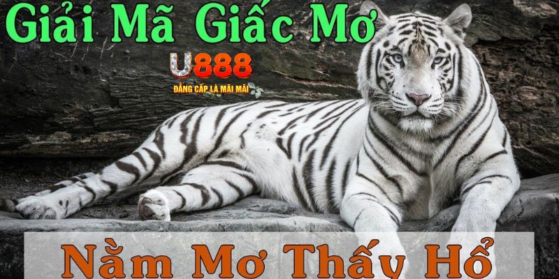 7789bet xổ số miền bắc xổ số miền bắc