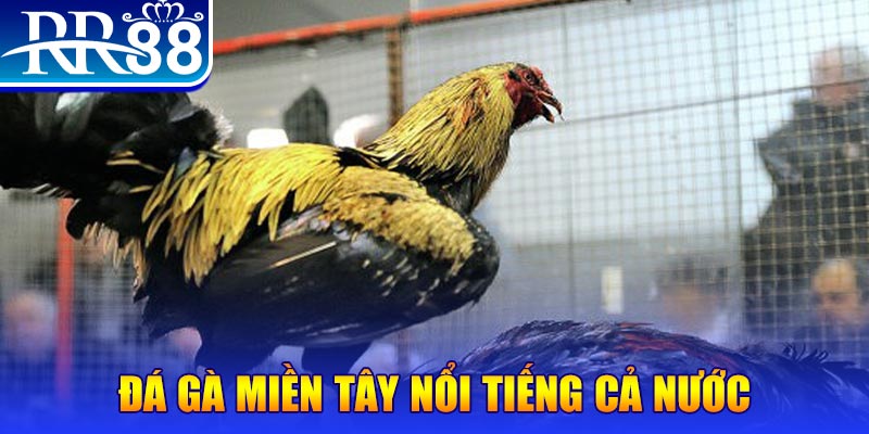 7789bet xổ số đại phát