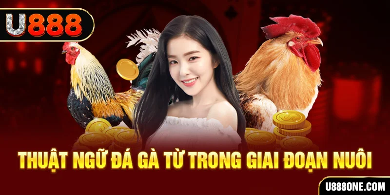 7789bet xổ số miền bắc 90 ngày