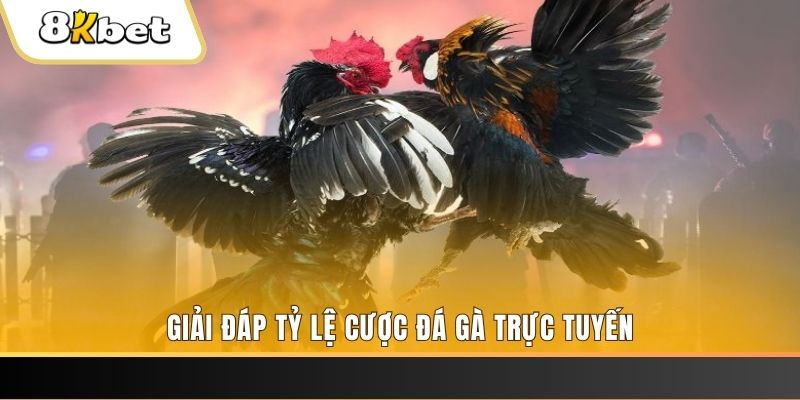 7789bet ga choi cau thanh