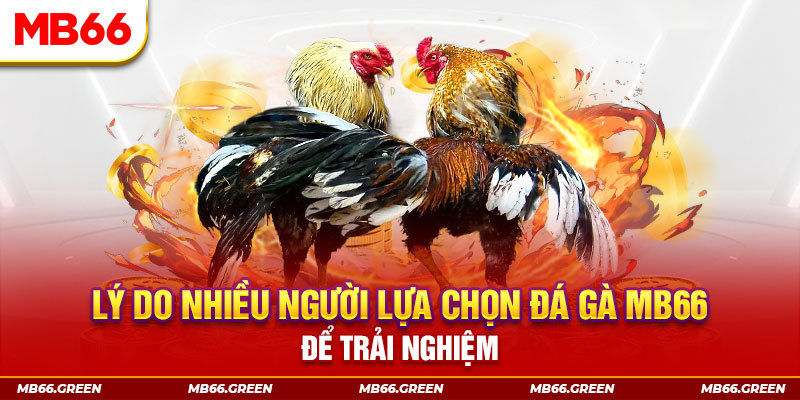 7789bet đăng nhập liêng trực tiếp