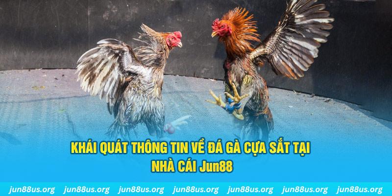 7789bet xổ số miền bắc thứ bảy hàng tuần