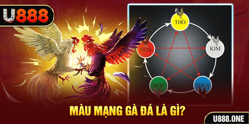 7789bet xổ số miền trung thứ tư hàng tuần