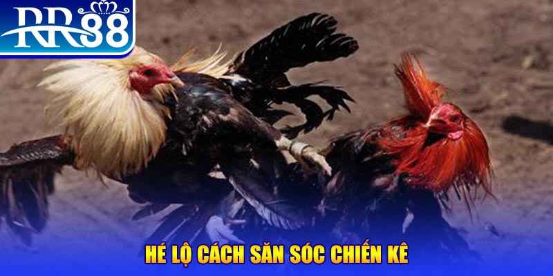 7789bet xổ số miền trung thứ tư