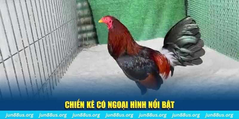 7789bet game bắn cá