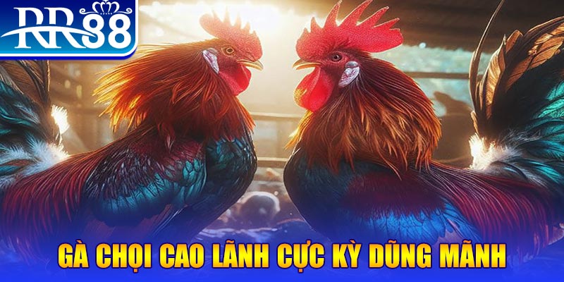 7789bet HB Điện Tử