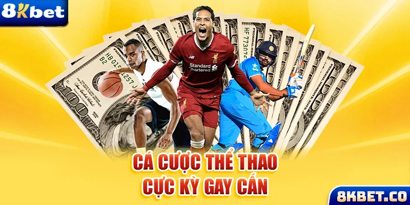 7789bet xem đá gà trực tiếp